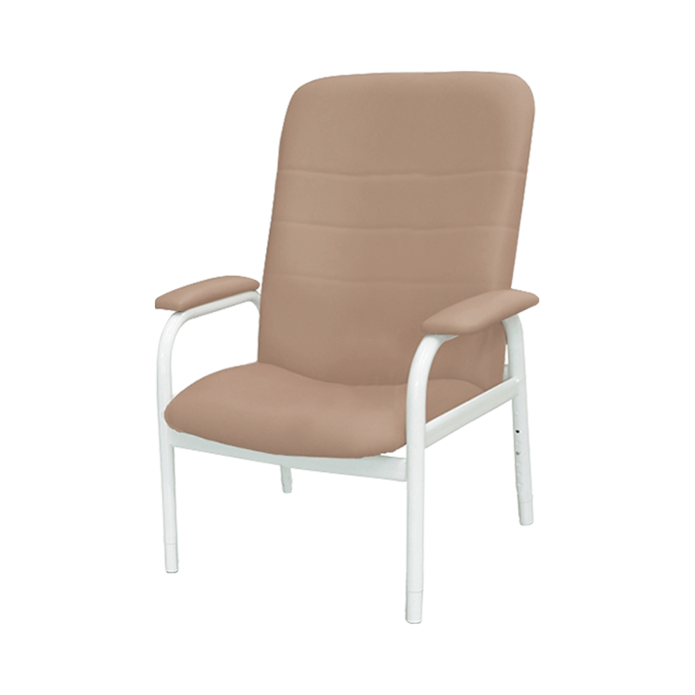 Aspire Low Back Classic Day Chair